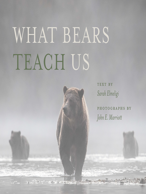 Title details for What Bears Teach Us by Sarah Elmeligi - Wait list